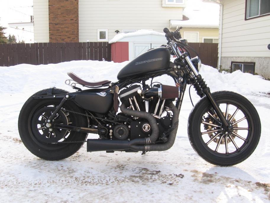 harley davidson 883 iron bobber. **How Many Iron 883 Owners Out