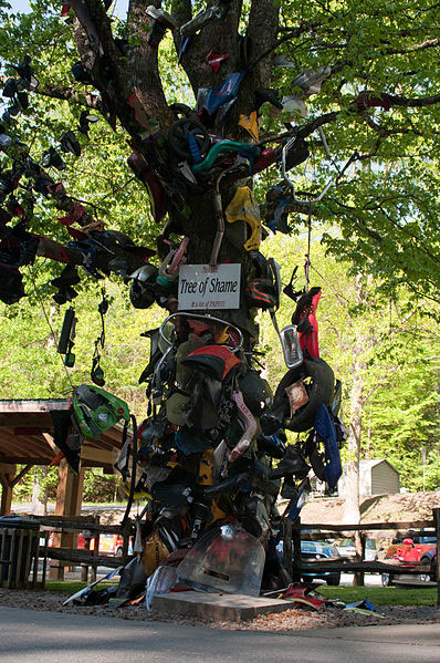398px-Deals_Gap_Tree_of_Sha.jpg