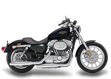 2009 sportster 883 low.jpg