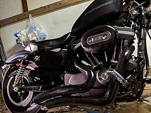 Detailing my neglected 2009 Iron 883-8yh4xbyl.jpg