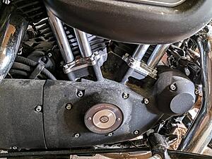 Detailing my neglected 2009 Iron 883-snwk9h2l.jpg
