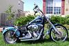 Low Riders-dsc01236aa.jpg