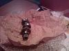 Visit from "Brown"-photo030.jpg