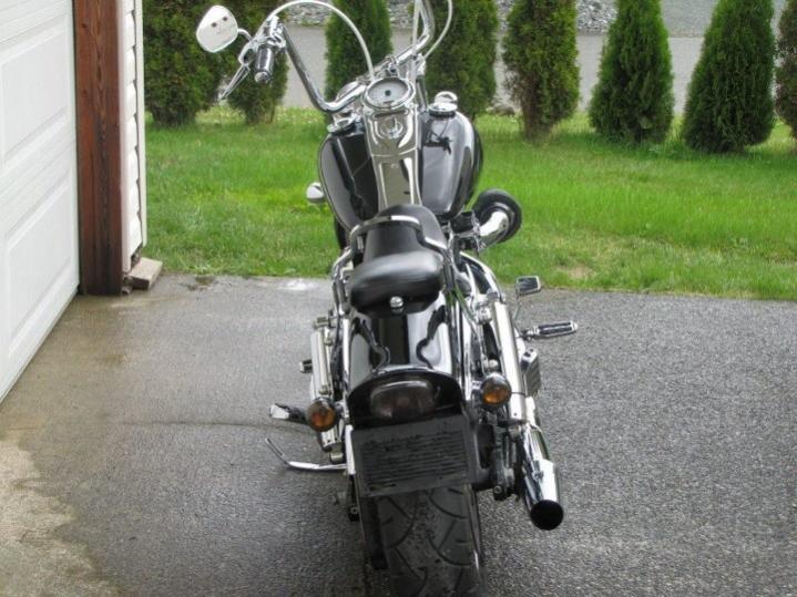 Post pics of the evolution of your Dyna - Page 5 - Harley Davidson Forums