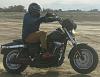 Anyone have T-bars on a Fat Bob?-unnamed-2-.jpg