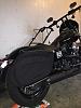 Leather Pros bags with Bassani Road Rage 2-img_1093.jpg