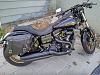 LOW RIDER S FXDLS License and Turn Signals-img_20160811_1006468.jpg