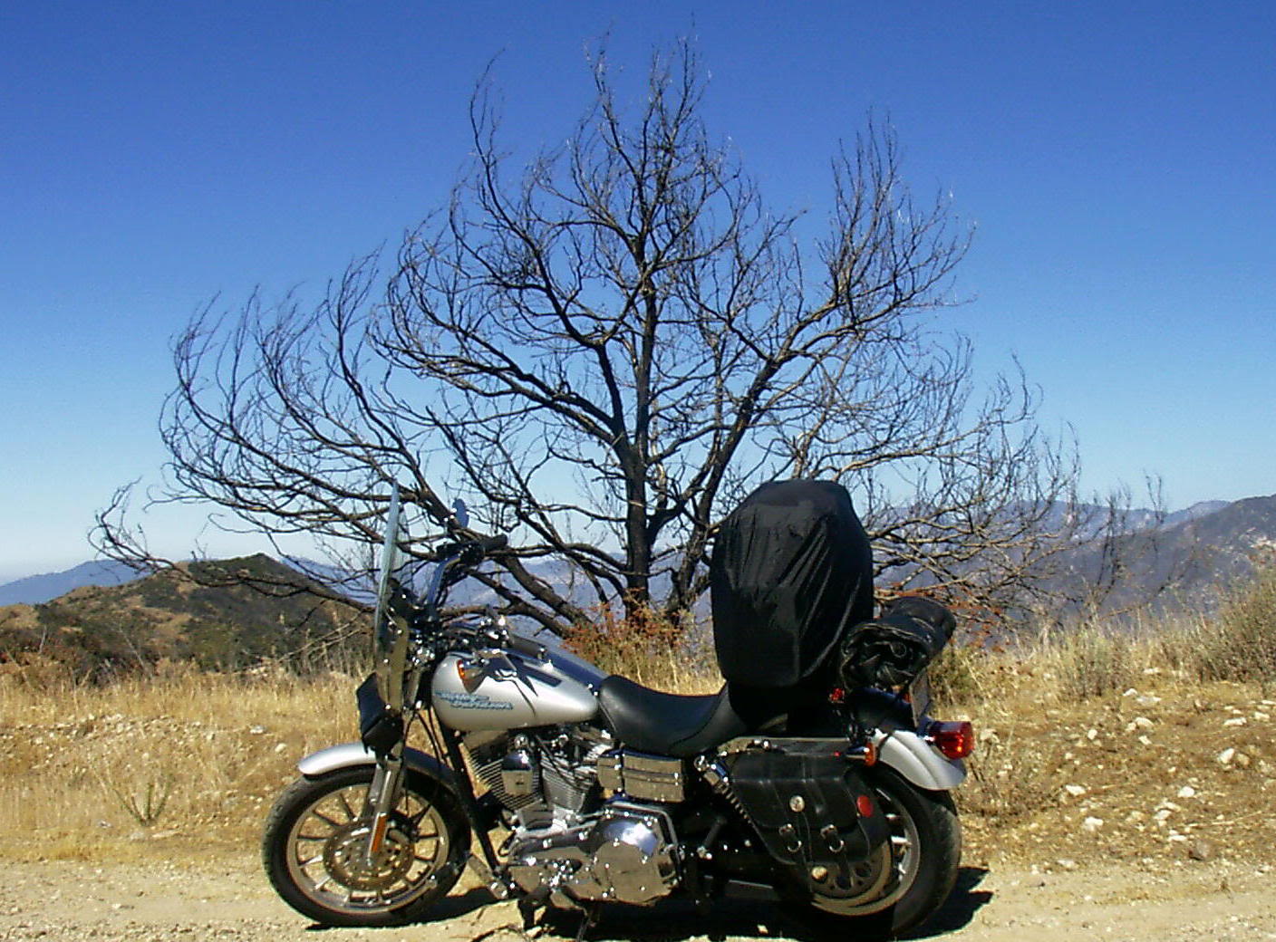 Name:  gr3.jpg
Views: 80
Size:  260.2 KB