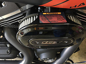 New 16' Fat Bob here!-103_filter.jpg