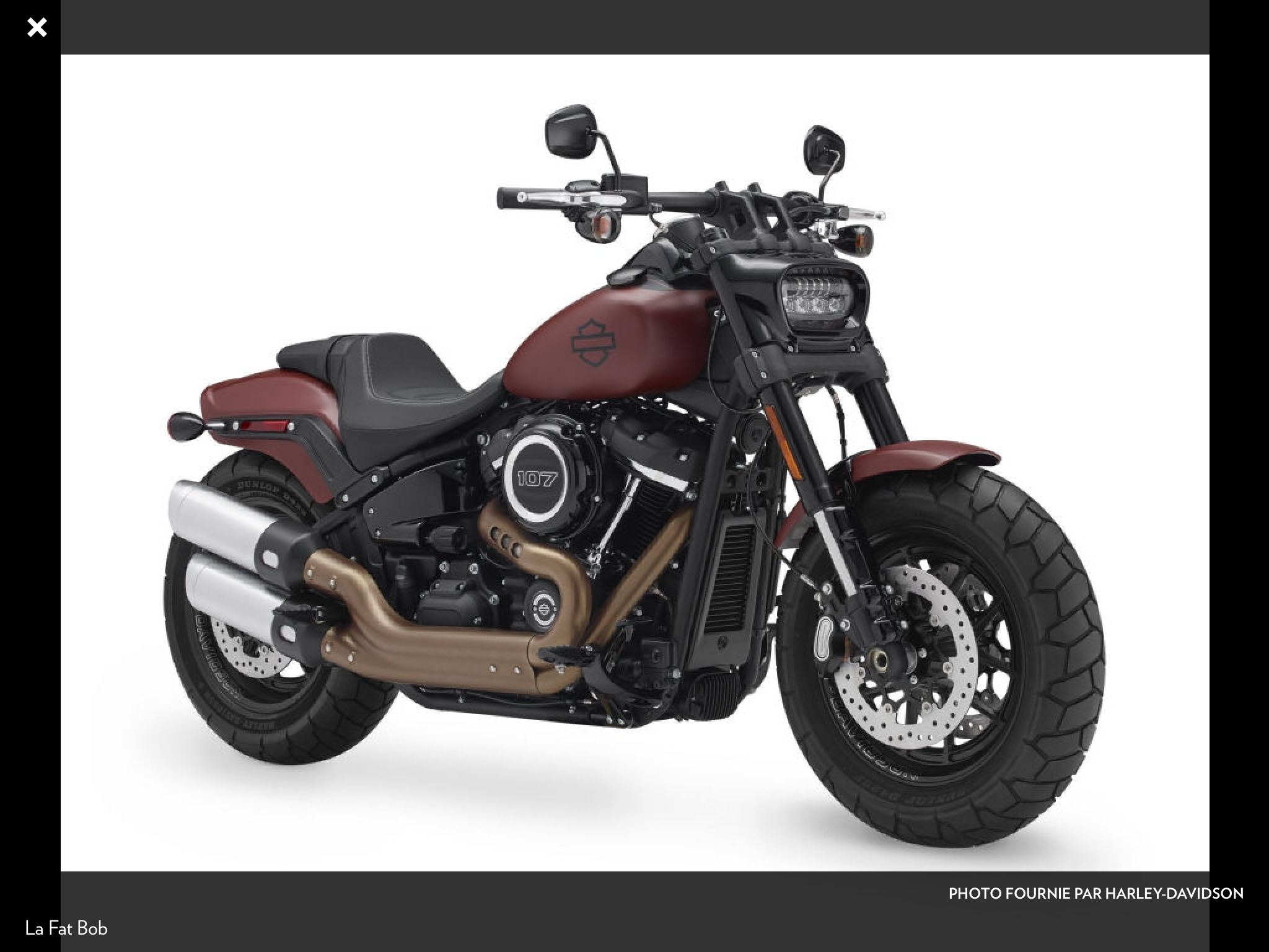 569007d1503404768-low-rider-and-fat-bob-2018-img_6647.png