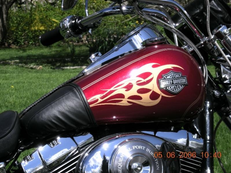 https://www.hdforums.com/forum/attachments/dyna-glide-models/74390d1256120435-can-t-believe-i-bought-a-tank-bra-bike-6-atank.jpg