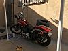 FXSTSB - Some wiring help-img_3854.jpg