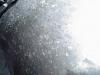 Primary Clear Coat removal-primary2.jpg