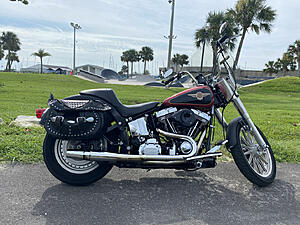 My Softail is going through changes!-photo497.jpg