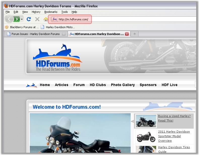Name:  mhdforums.jpg
Views: 238
Size:  91.6 KB