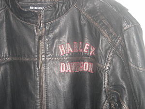 Gorgeous HD Leather Jacket-img_1214.jpg