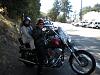 Looking at a Softail Standard - 2004-vvccxx.jpg