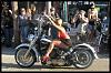 Harley that looks the best with Ape Hangers pole-user115168_pic62114_1260637261.jpg