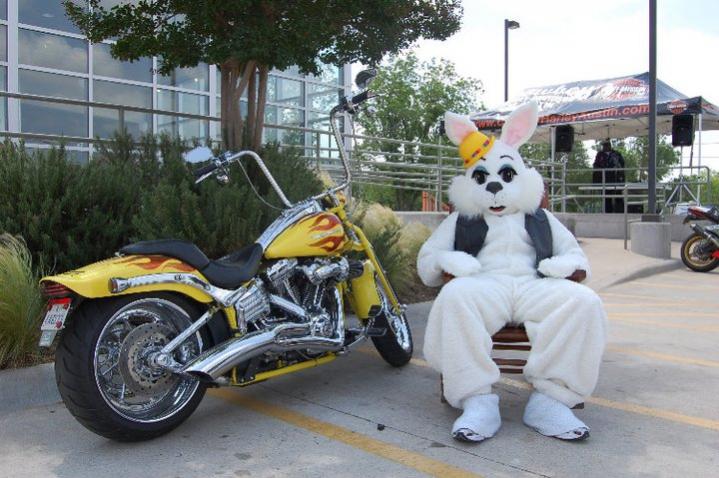 Happy Easter Harley Davidson Forums
