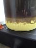 Have you ever seen this happen to engine oil ?-2014-04-23-19.04.16-copy.jpg