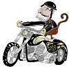 Friday Funnies 20!-biker_monkey-med.jpg