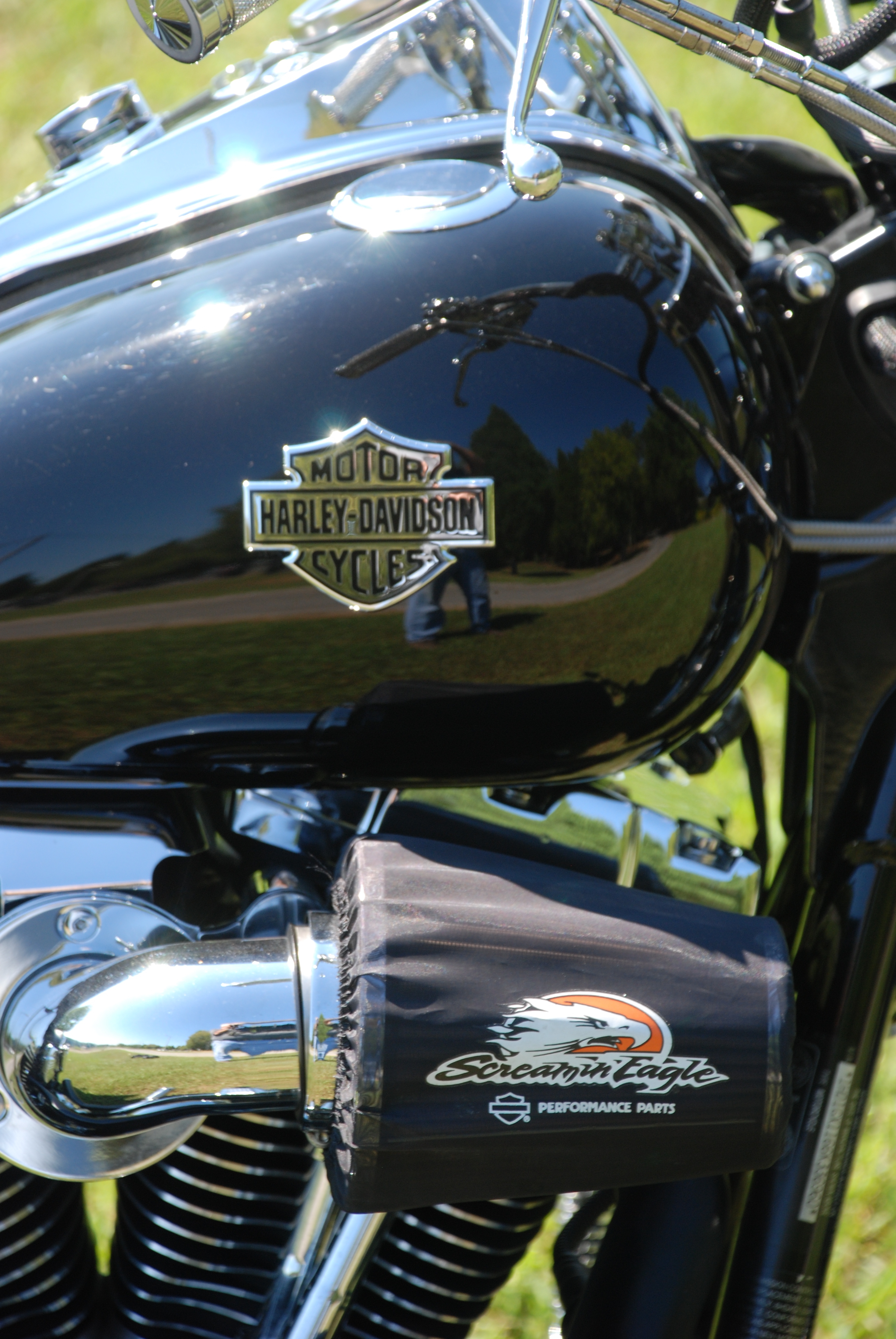 Will a softail tank emblem fit on a dyna tank? - Harley Davidson Forums