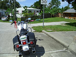 Roadside Photography from your rides-ripbridge.jpg