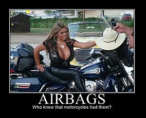 Best Harley/Riding Memes - Let's see 'em!-d0994185c78ada1781a84b742358cd1d.jpg