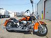 Softails with apes-861056_4183038988819_457909213_o.jpg