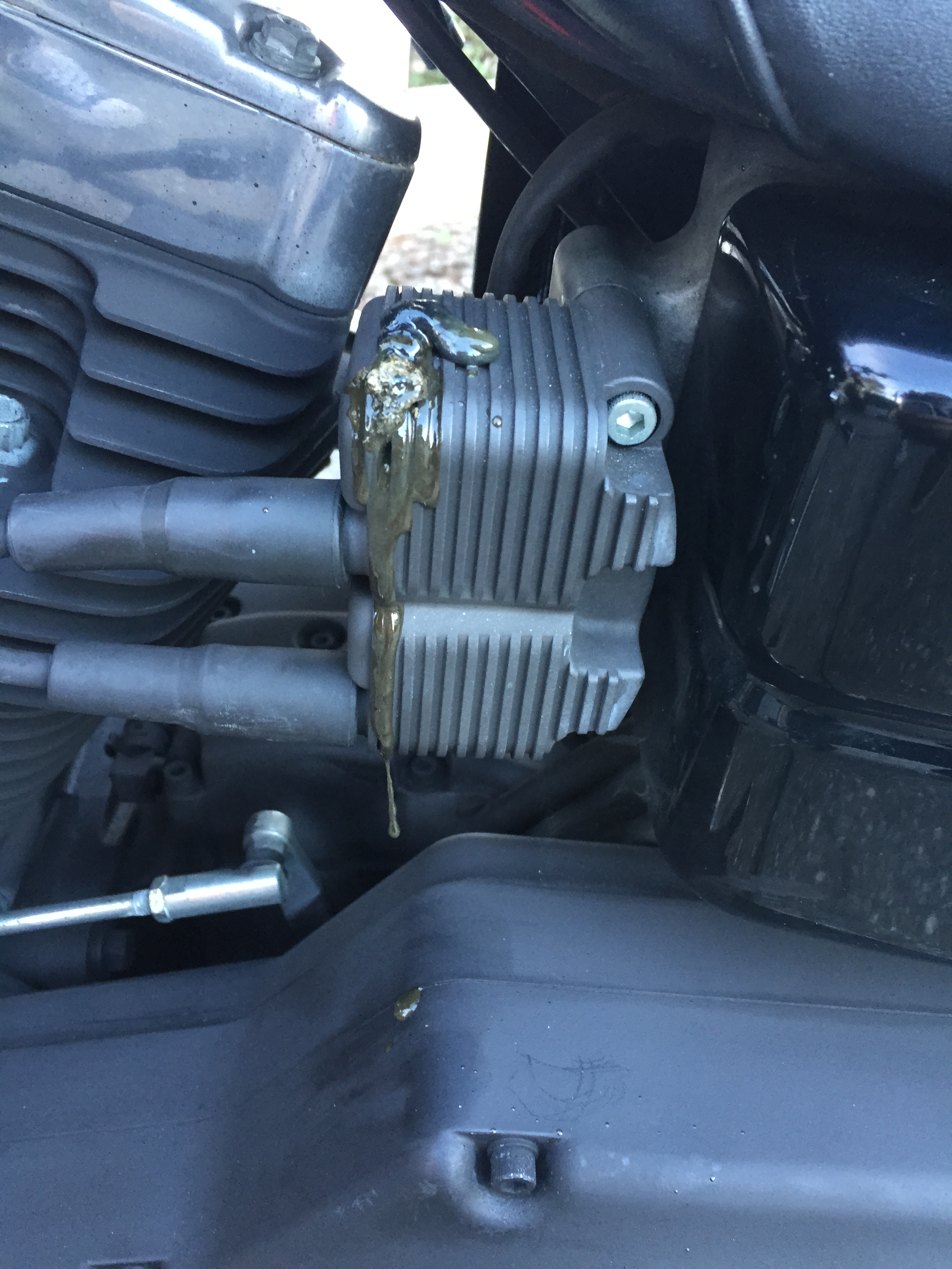 Ignition Coil Leaking Goop Harley Davidson Forums