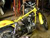Mertle Update-img_0221.jpg