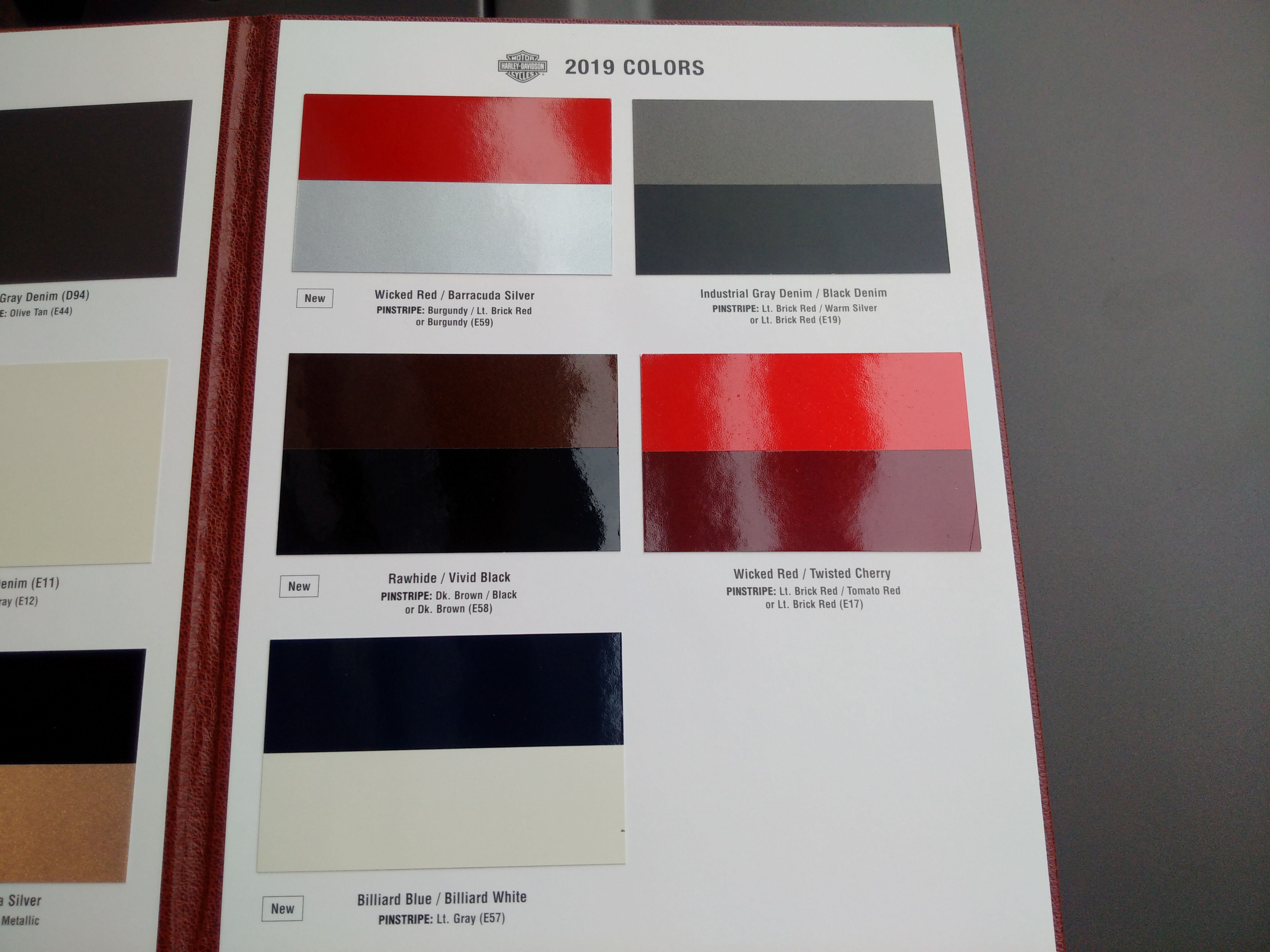 2019 Harley Color Chart