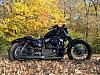 2007 nightster blacked out!!!-301605_10150432107047160_539002159_10535789_1587289113_n.jpg