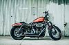 2008 Harley Sportster XL1200N Nightster (MUST SEE!) - Portland, Oregon-156094_10204068455085897_7057773369323801286_n.jpg