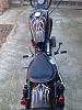 Harley Davidson Nightster, so cal-hd8.jpg