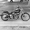 2003 Harley softail-img_4430.jpg