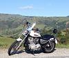 2008 Immaculate Harley Davidson Sportster 883 Custom XL-883C LOW MILES-image004.jpg