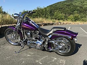 2000 FXSTS Springer Softail 1 Owner immaculate-img_1660.jpg