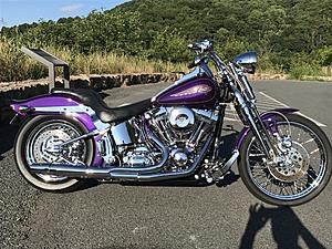 2000 FXSTS Springer Softail 1 Owner immaculate-img_1674.jpg