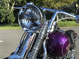 2000 FXSTS Springer Softail 1 Owner immaculate-img_1667.jpg