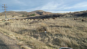 Colorado riders-photo240.jpg