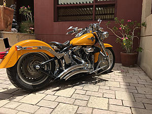 Color codes for OEM striping Fatboy-photo915.jpg