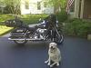 Advice on Route from St. Ignace MI to Minneapolis-nellie-and-the-harley.jpg