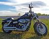 Springtime in Tejas-bob_bluesm.jpg