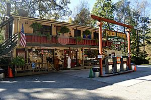 Smokies Road Trip-dsc_0379.jpg