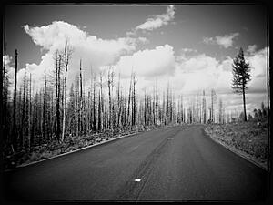 Northern AZ including US 191 Arizona - Coronado Trail - Photo heavy!-9sjs4ln.jpg
