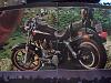 1981 Harley Davidson brochure regarding Sturgis bike-dsc06132.jpg