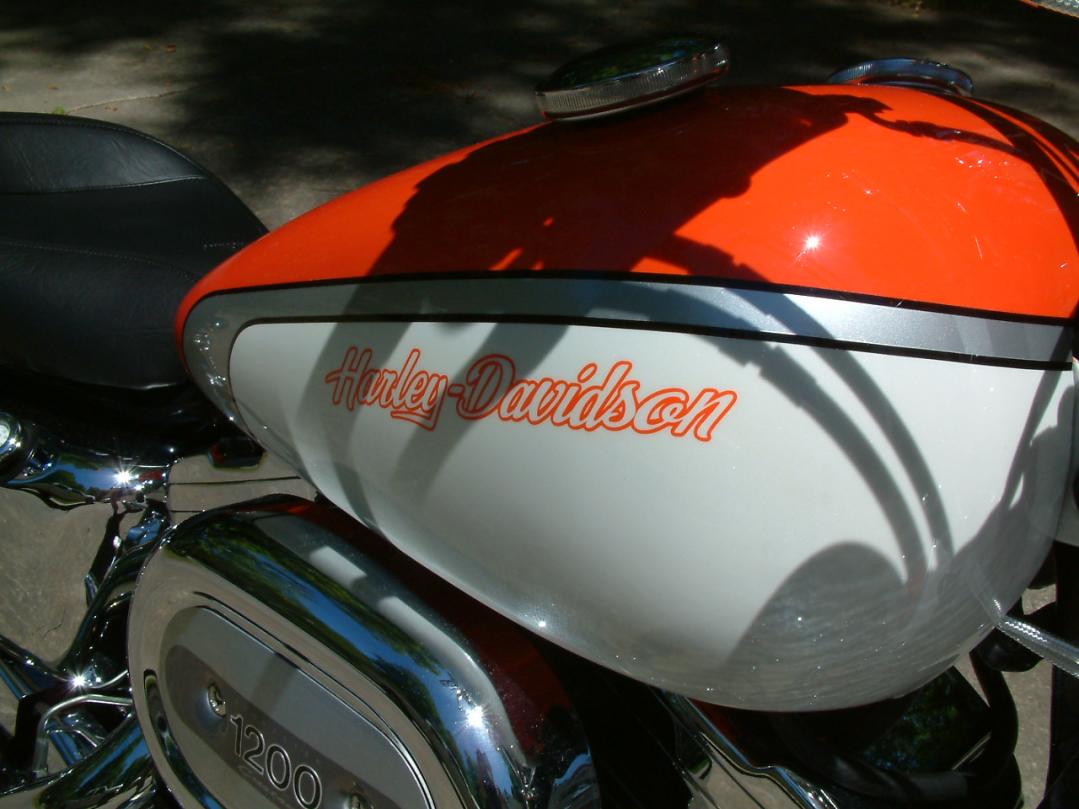 Mod of the Day revisited Softail tank on a Sportster finished (Pictures ...
