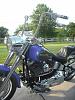I got the apes on!!!-062.jpg