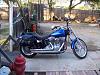 What pipes to get for Softail Standard?-100_1229.jpg